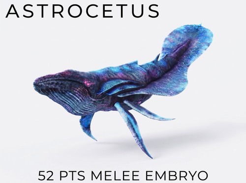 Astrocetus embrio pts - astrocetus,