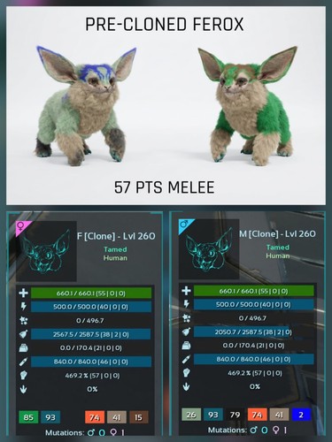 Ferox pts melee clone - ferox,